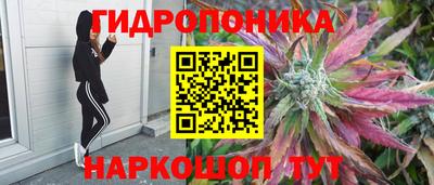 прущая мука Пыть-Ях