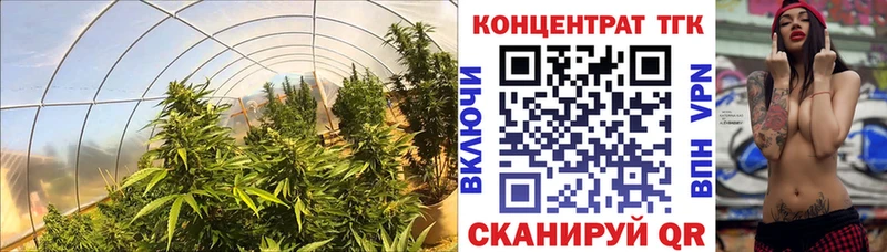 omg вход Ухта Дистиллят ТГК жижа где купить наркоту