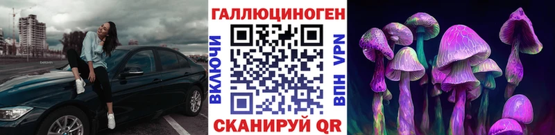 Галлюциногенные грибы Psilocybe  MEGA ONION  Ухта 