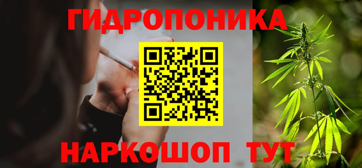 Конопля гибрид Ухта